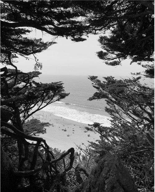 Black and white beach views.  (at Ocean Beach, porn pictures