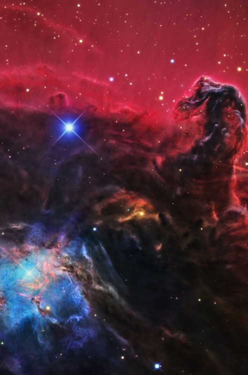 thedemon-hauntedworld: IC 434 (Barnard 33) The Horsehead Nebula Credit: R Jay GaBany Cosmotography Y