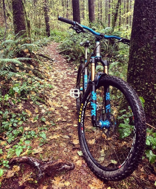 stumptownrider:Sure missing the trails this weekend #getoutandride #trails #myreebadventures #reebme