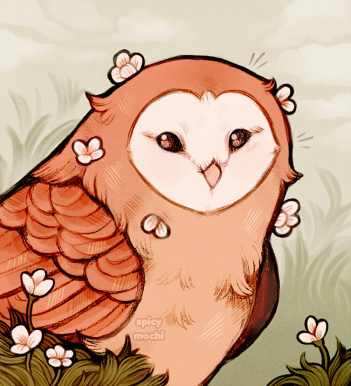 spicymochi:flower owl