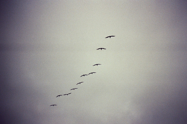 orbitae:  untitled by Madeline Joy on Flickr. 