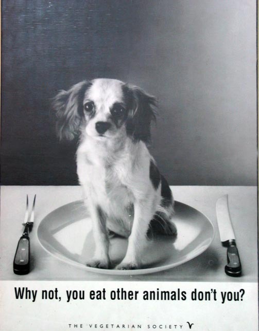 I&rsquo;m sure I have already and it tastes great.