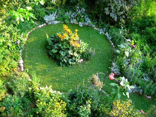 The garden this evening, looking ever more autumnal.