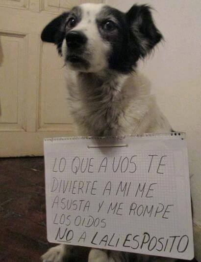 Soy todo lo que recuerdo y vos, todo lo que has olvidado