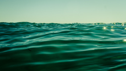 nevver:  Shore break, Alex Beker 