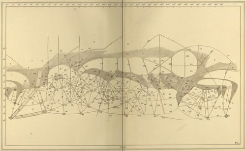lucienballard: Maps of the mars canals, according to observations by astronomer Percival Lowell.