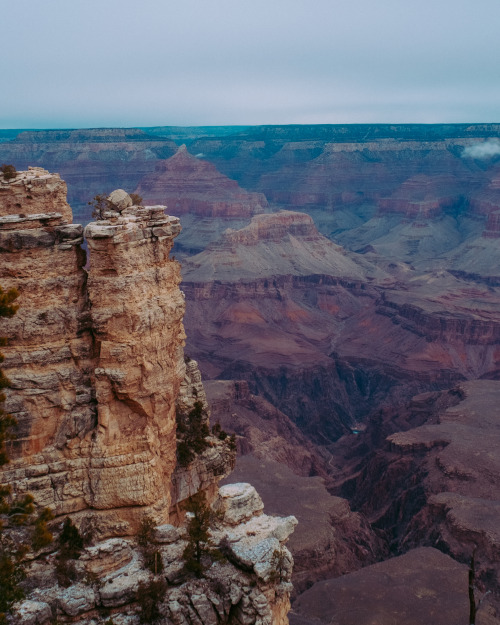 wild-west-wind:Rock towers at the Grand Canyon