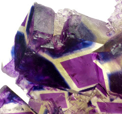 bijoux-et-mineraux:  Fluorite - Polish Prodigy