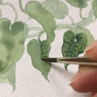 fruitstim: watercolour botany porn pictures