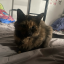 cynfile