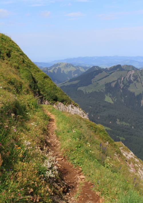 2013: The Swiss do like their hairy walks, but at least they warn you. Path from Schäfler to Altenal