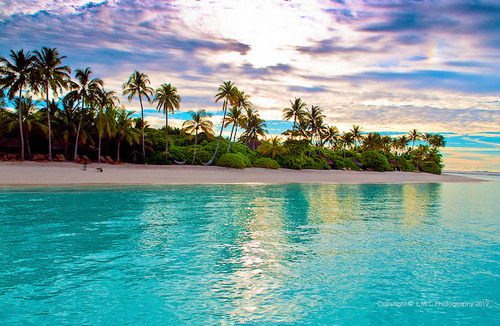 tropic-oasis: