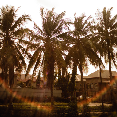 mannyjefferson:The Slumflower, by Manny Jefferson.Lagos, 2016. 