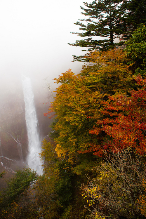 4nimalparty:Kegon Falls, Nikko, Japan (by natssant)