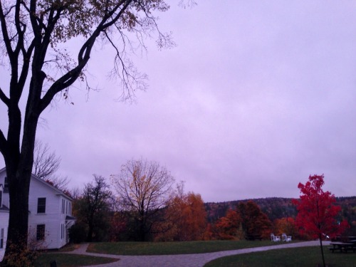 grrrlcat:My campus is pretty