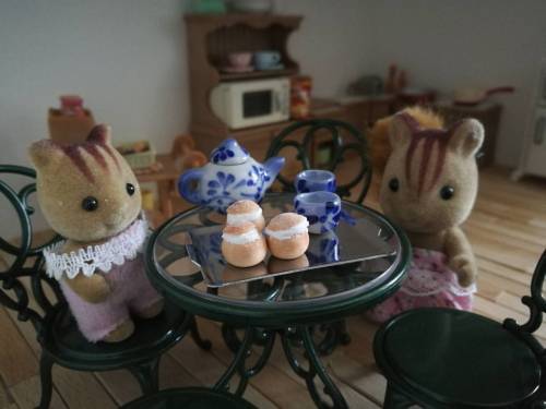 Just moved in to their new home! Pastries made by me from polymer clay :) #miniatures #sylvanianfami