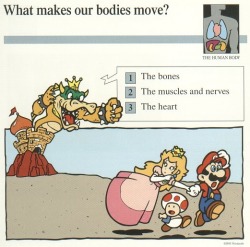 slbtumblng: suppermariobroth: From a set of Mario quiz cards.  lol XD