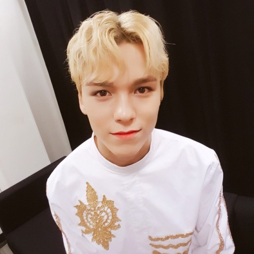 [ENG] 170812 Vernon and Joshua’s Twitter Update [17’S] 오늘 하루도 잘 지냈어요? 우리 캐럿들 방금 봤는데도 또 보