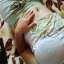 alegree22