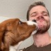areallygaybee:Lick