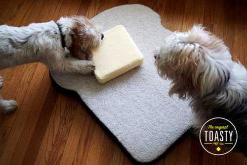 Wishlist Wednesday | Toasty Pet Bed from The Original Toasty Pet Co
If you remember these pastry sleeping bags I featured a couple of weeks ago, how bout a matching toast bed for your four legged friend? Are these not the absolute most adorable pet...