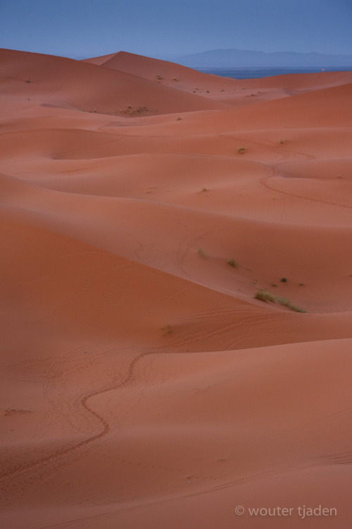 The way out, Morocco