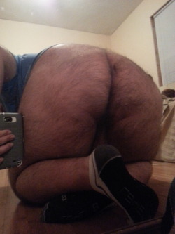 Megabaerchen:  Musclecub32:  Gordo4Gordo4Superchub:  Lick  Big Furry Ass.  Wie Geil