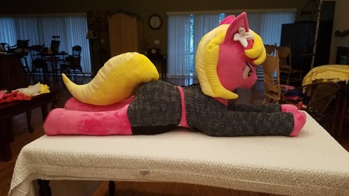 drzedzworth: LIFE SIZE PLUSHY For @littlenaughtypony This was a BIG order to do, and took us a bit t