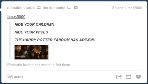 idlers-beatle-dream: just a few minutes on my dash i love hp fandom