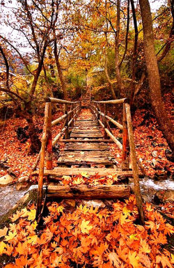 lori-rocks:  Autumn walk… via pinterest