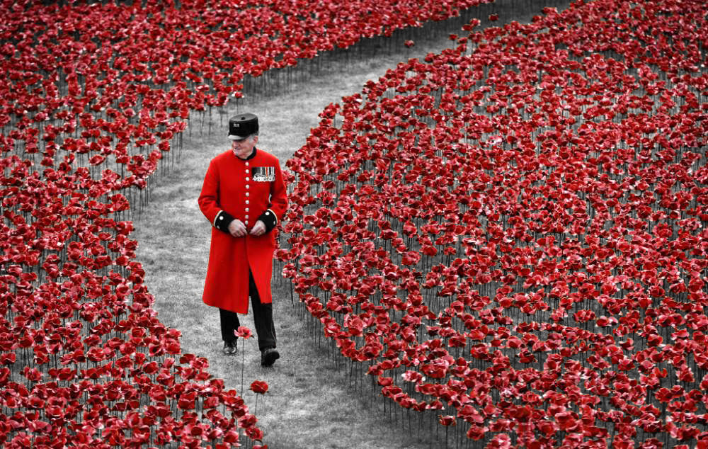 skush-uk:  Paul Cummins | Blood Swept Lands and Seas of Red  The Tower Of London