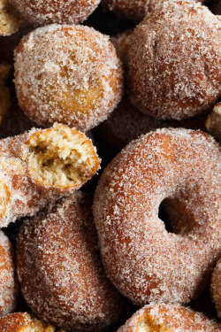 ransnacked:  homemade apple cider doughnuts | table for two
