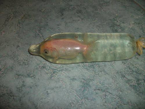 lebaiserdelamorte:IF MY GOLDFISH CAN FIT IN A CONDOM SO CAN YOU