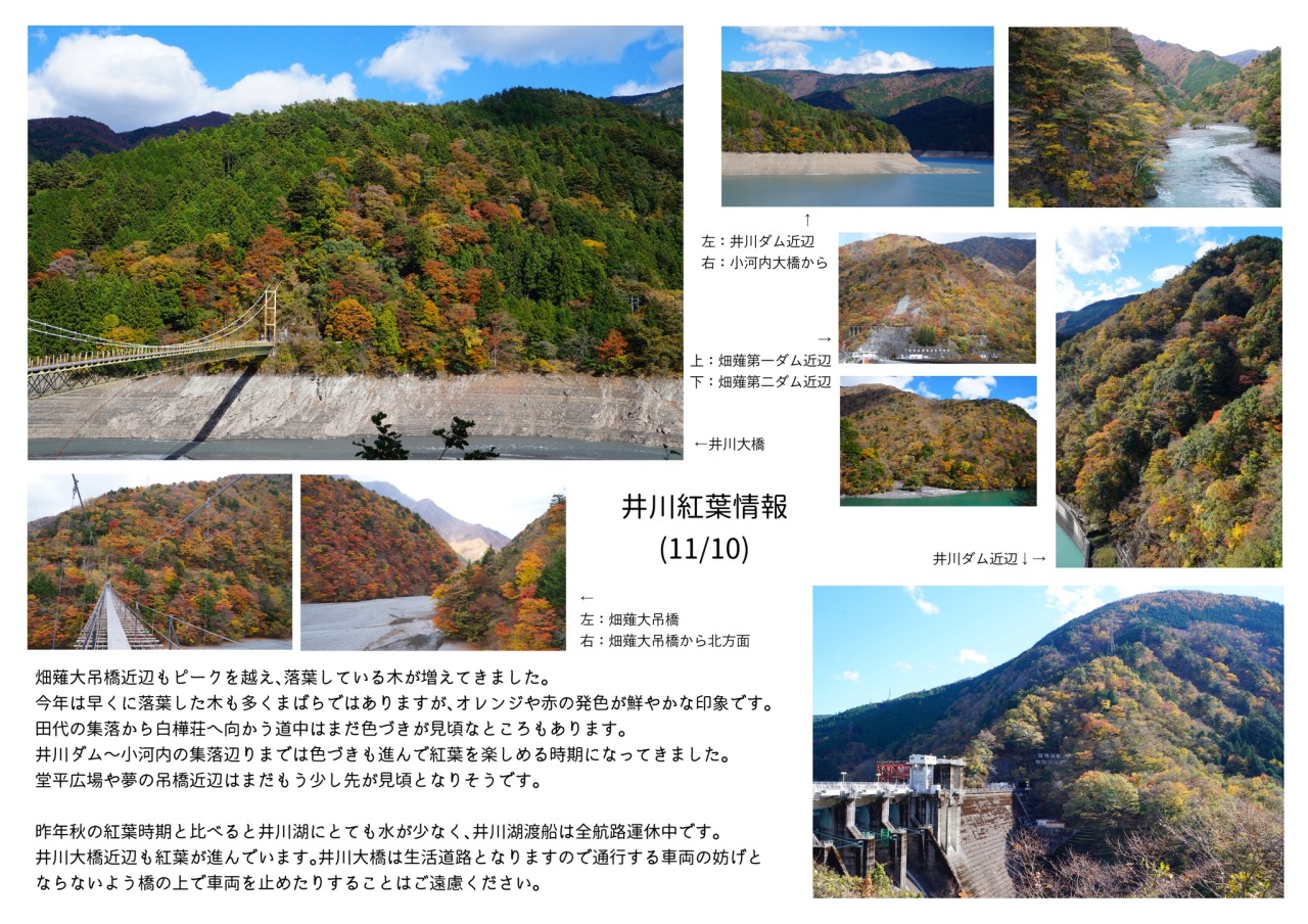 Ikawa Photo Spot 井川湖周辺の紅葉情報 11 5 11 6