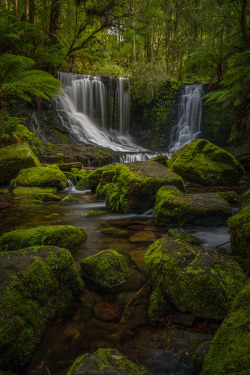 Madishy:  Falls &Amp;Amp; Ferns By Jamie Richey  