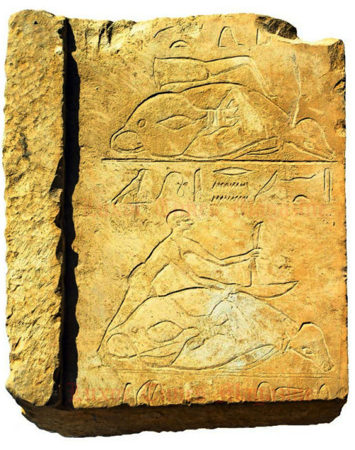 fishstickmonkey:Wall engravings from a Middle Kingdom tomb at El-Lisht in the Dahashur necropolis, G