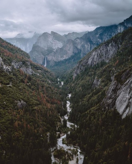 wanderlog: Yosemite National Park