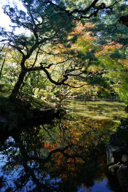  Heian Shrine, Kyoto, Japan. copyrights Val Moliere, Oct 2018 