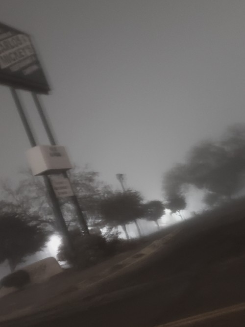 The Fog Comes At Unexpected Times