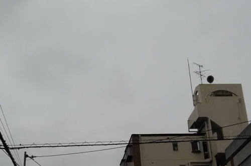 今日の雨は、涙雨 ・・・・・。やろか ？#雨　＃涙雨　＃rain   #Namidaame