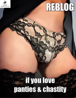 experiencedkinkydomme:Admit it sissy, don’t be shy, You love it when I dress you in panties and use you like a slut! Reblog and dm now. Kik : mistress_kalirose2, Google chat: mistresskalirose123@gmail.com 