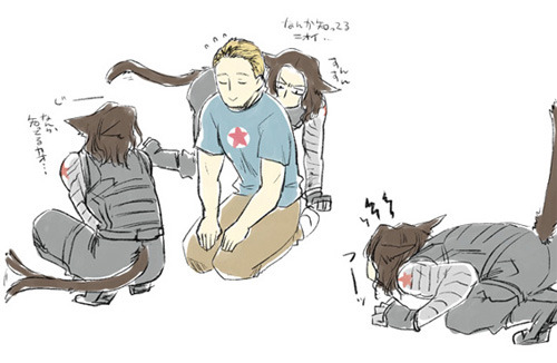 tumblr_n505uatZXG1rhus01o3_500.jpg