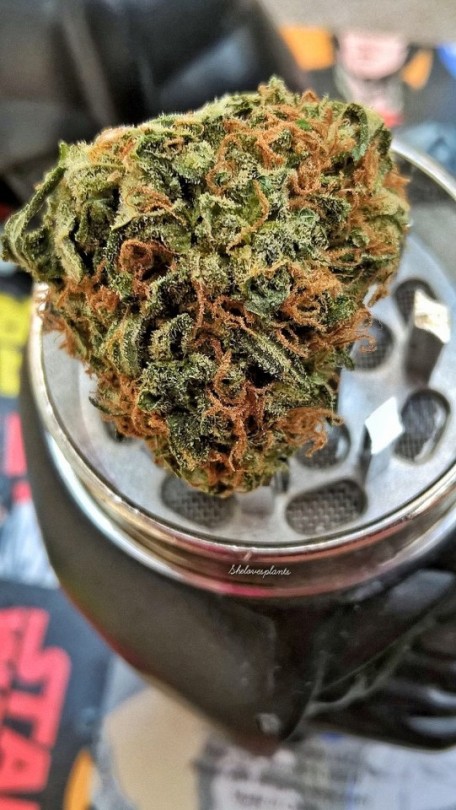 Porn Pics shelovesplants:  Darth Vader Grinder 💨