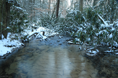 Sometimes the best winter hike is right around the corner. Tibbs Run Preserve at the West Virginia B