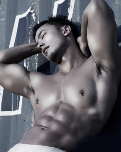 busankim:  Muscular Asian Model Shows Tanned Torso &amp; C-IN2 Logo PikWorks  http://jskbusan.blogspot.com 