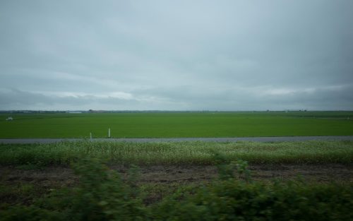 araiwatal:  SCENERY SEEN FROM A TRAIN WINDOW   THE NORTHEASTERN AREA車窓 東北 #69Ou Main Line 奥羽本線Hachirogata 八郎潟 https://plus.google.com/b/105927364264306621006/collections 