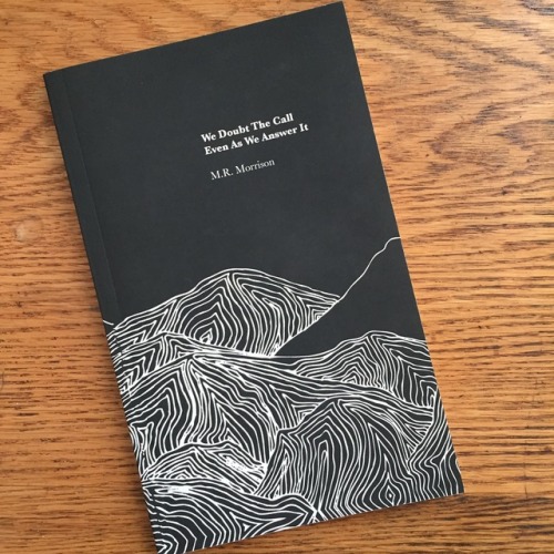 Morrison’s poetry has a crispness of detail and a taut simplicity that engages and the book is further enhanced by the artwork throughout
We Doubt The Call Even As We Answer It
by Meghan Rose Morrison
Lost Alphabet
2017, 86 pages, 5.0 x 0.2 x 8.0...