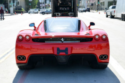 fullthrottleauto:  Ferrari Enzo (by Peloton25)