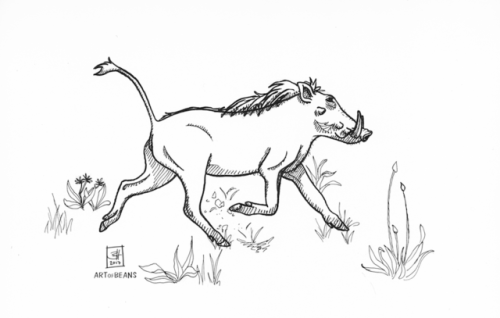 Day 7: warthog*Insert stereotypical Hakuna Matata reference here*These little guys are super skittis