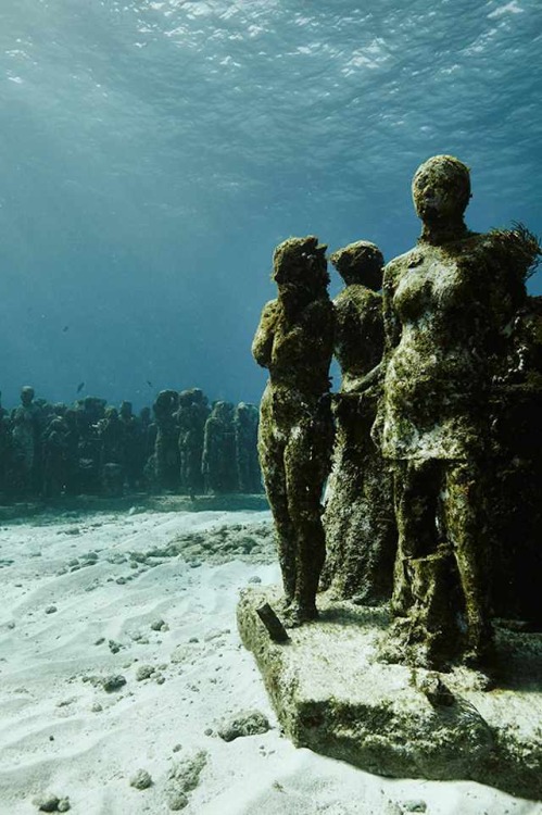 asylum-art:  An Underwater Museum with SculpturesEn 2009, dans l’océan de Cancun, le sculpteur Jason deCaires Taylor a conçu une sorte de musée sous l’eau, en installant des  sculptures quasi-mythologiques au milieu des requins. La photographe